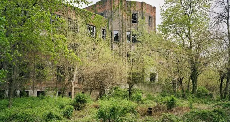 Why North Brother Island Is New York’s Best Kept Secret