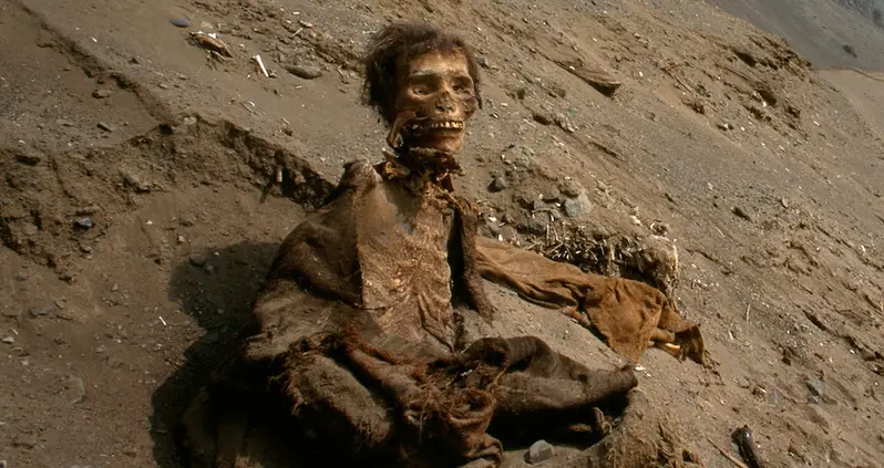 9 Of History’s Most Chilling Mummies, From A 2,000-Year-Old Woman With Blood Still In Her Veins To A Bronze Age Bride
