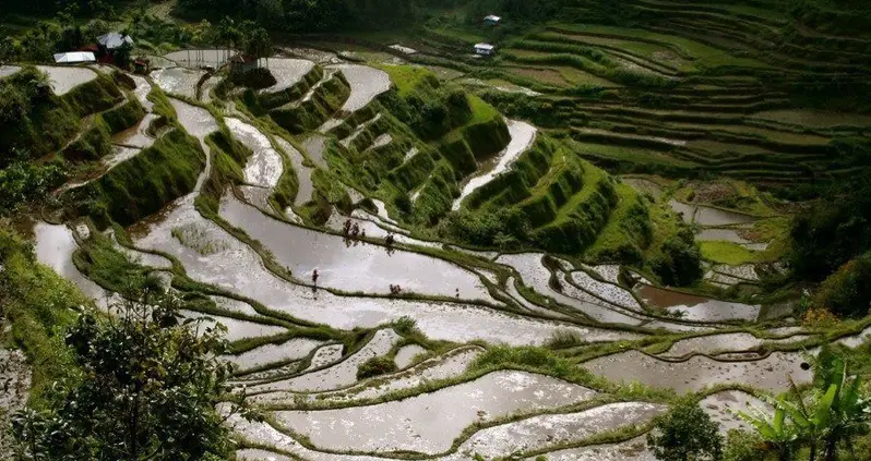 51 Unbelievable Photos Of The 2,000-Year-Old Philippine Rice Terraces