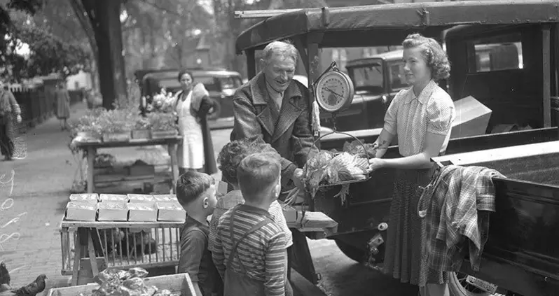 Vintage Portland: The City Of Roses Over Time