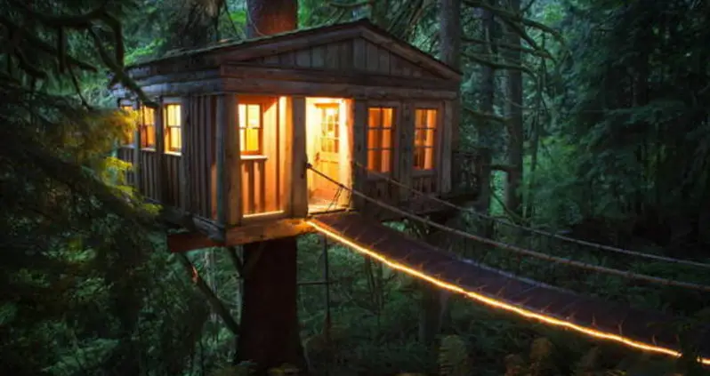 TreeHouse Point: The Treetop Getaway For Grown-Ups