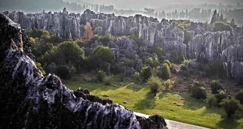 This Ancient Chinese Stone Forest Will Take You By Surprise