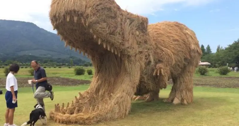 Straw Dinosaurs In A Rice Field? Only In Japan