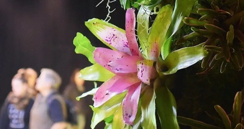 Inside The Lowline Lab, The Prototype For The World’s First Underground Park