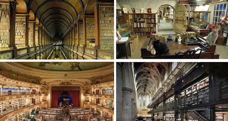 Inside The Six Coolest Bookstores In The World