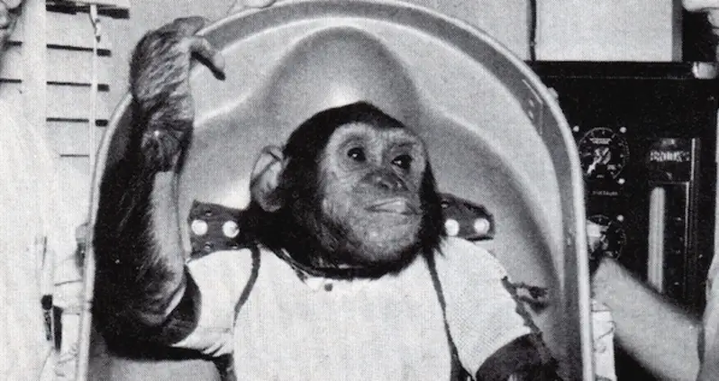 Meet Enos, The First Chimp To Orbit Earth