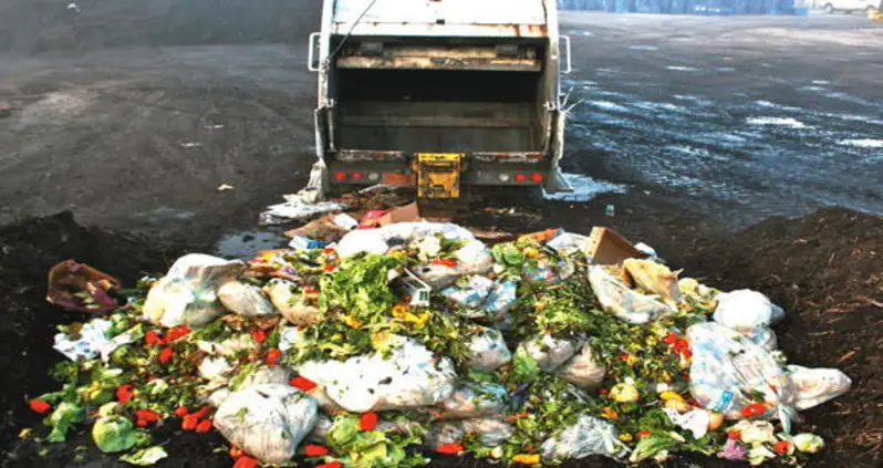 Food Waste: How We Can Overcome The Alarming Facts And Dire Predictions