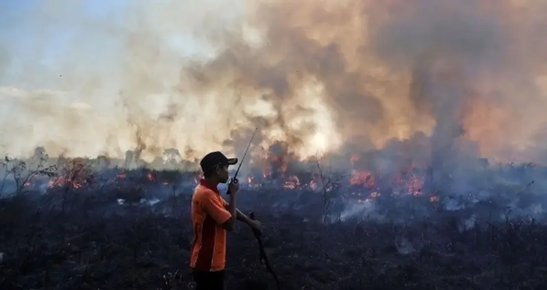 Indonesia Is Burning, And The World Hasn’t Noticed