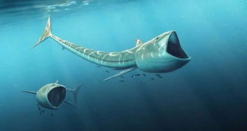 A Giant-Mouthed Prehistoric Fish Was Just Discovered In Colorado