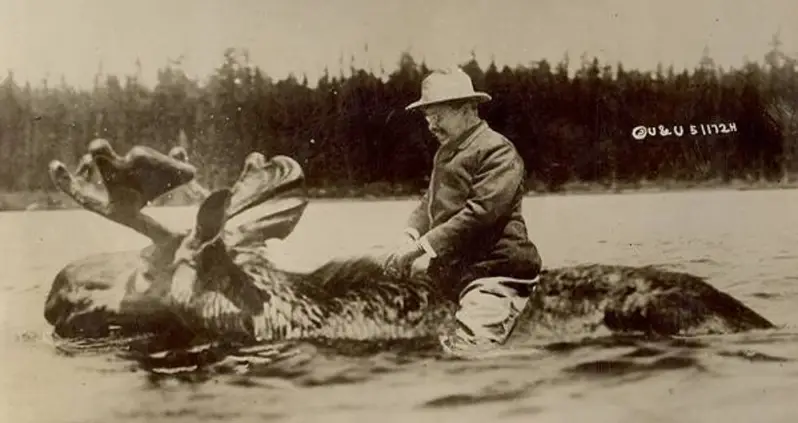 Photo Of The Day: The True Story Behind That Picture Of Teddy Roosevelt Riding A Moose
