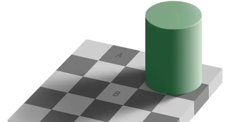Why Your Eyes Are Fooled By The Famous Checker Shadow Illusion