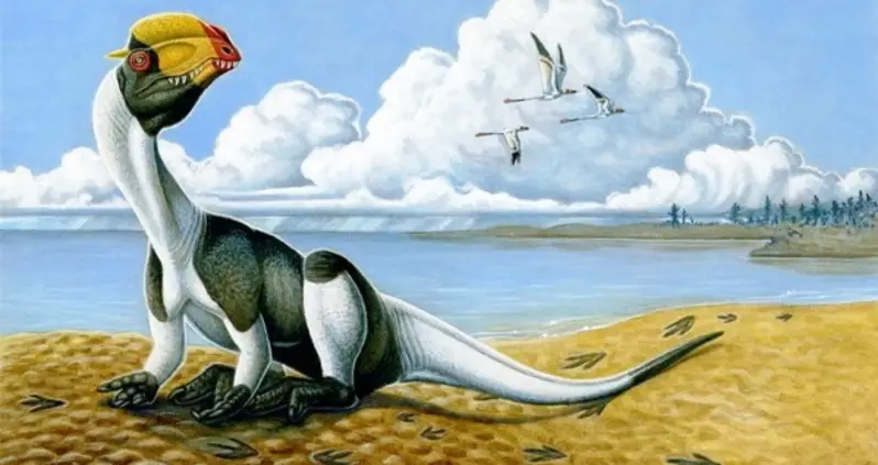 The 31 Dinosaur Facts You Want To Know: The Biggest, The Scariest, The Smelliest