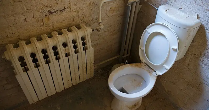 8 Gross Facts About Public Toilets, And How To Combat Them