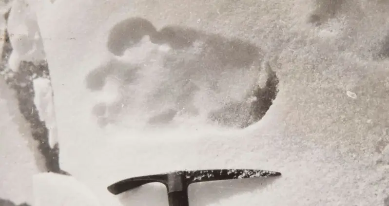 Is The Yeti Real? Inside 7 Reported Sightings Of The Legendary Creature