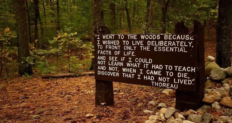 24 Timeless Henry David Thoreau Quotes That’ll Change Your Worldview