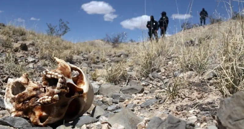 33 Brutal Photos That Capture The Futility Of The Mexican Drug War