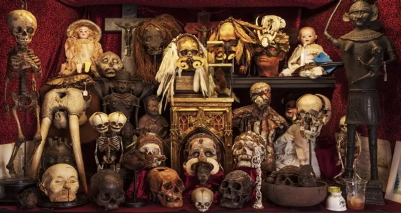 Inside The Viktor Wynd Museum Of Curiosities, The Strangest Museum On Earth