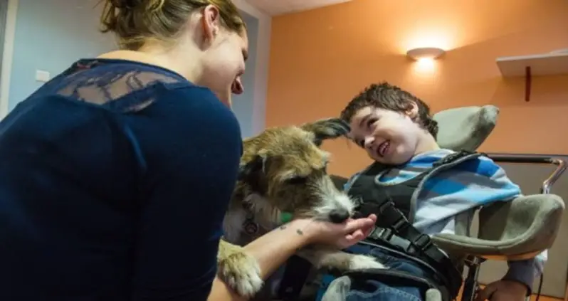 Therapy Animals: Heartwarming Photos And Surprising Facts