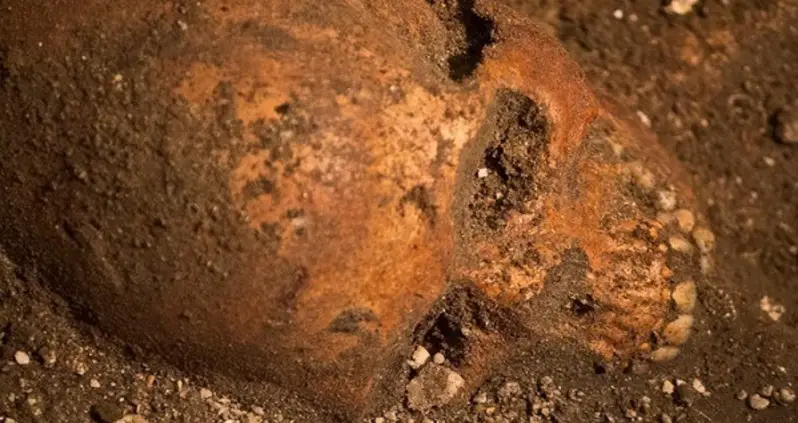 Archaeologists Find Remains Of America’s First Colonists Underneath Florida Wine Shop