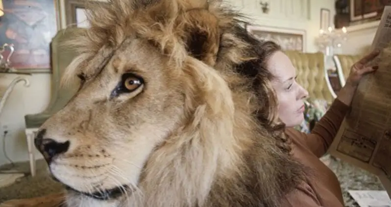 When One Hollywood Couple Lived With A Pet Lion