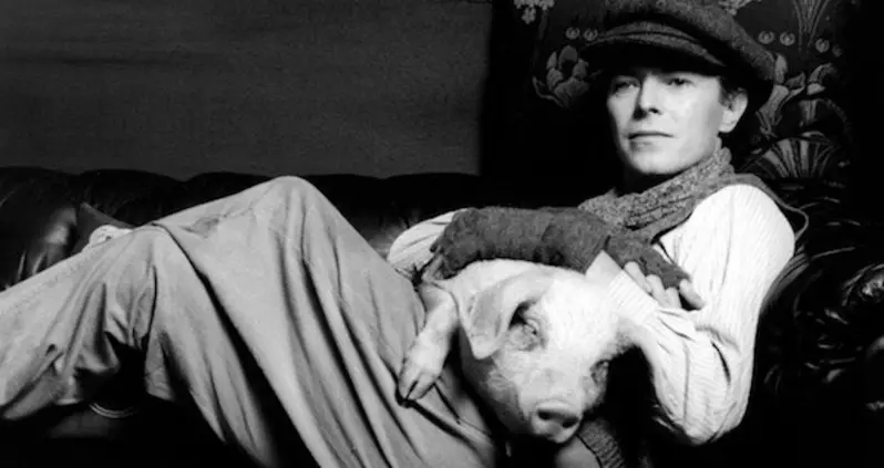50 David Bowie Photos Even Hardcore Fans Probably Haven’t Seen