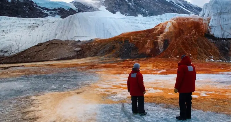 The Surprising Story Behind Antarctica’s Blood Falls, The Glacier That Seems To Be Gushing Blood