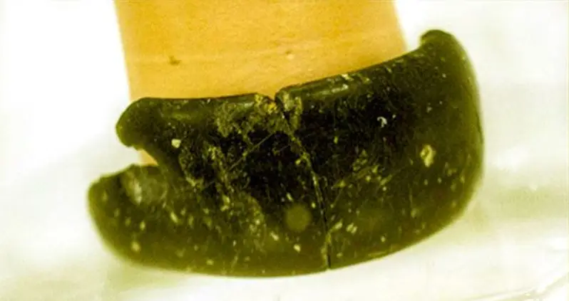 Researchers Find Oldest-Ever Bracelet Alongside Extinct Human Species