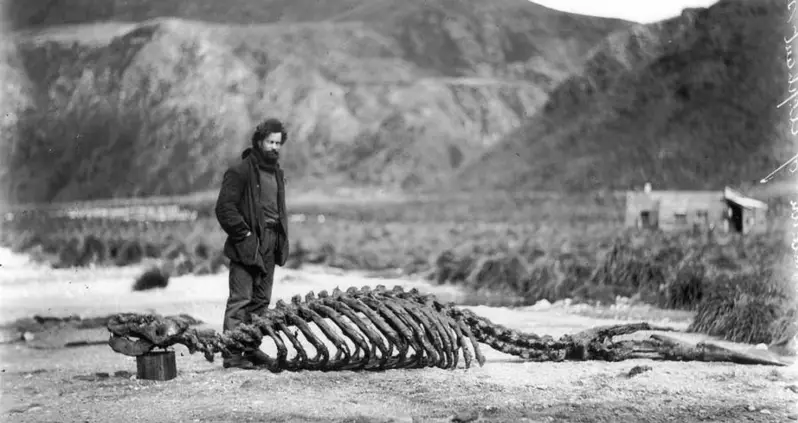 33 Vintage Photos Of Antarctica’s Frozen Hellscape