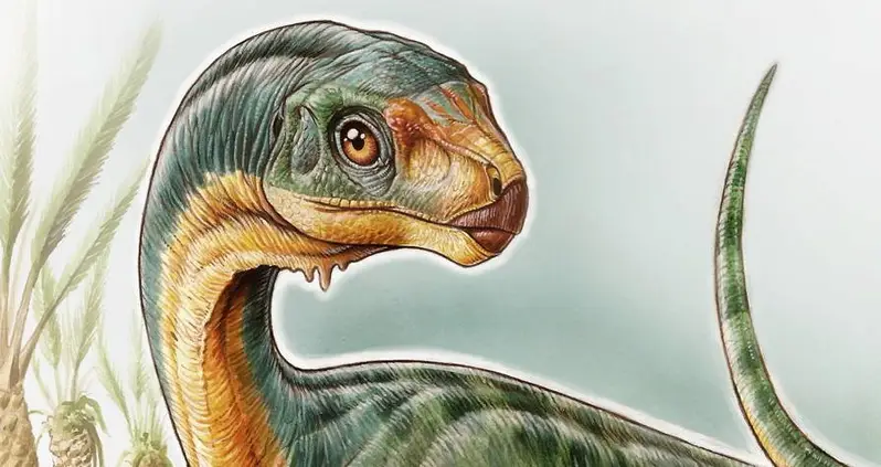 “The Most Bizarre Dinosaur Ever Found” Just Solved A Huge Evolutionary Mystery