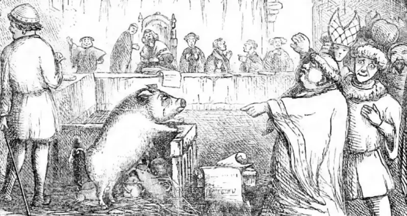 Inside The Strange History Of Animal Trials, When Crop-Eating Rodents And Murderous Pigs Were Punished For Their Crimes