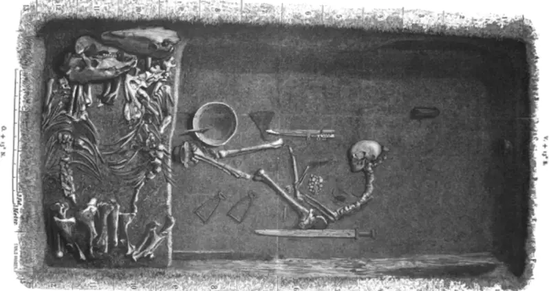 Viking Warrior Found in Swedish Grave Was Actually A Woman