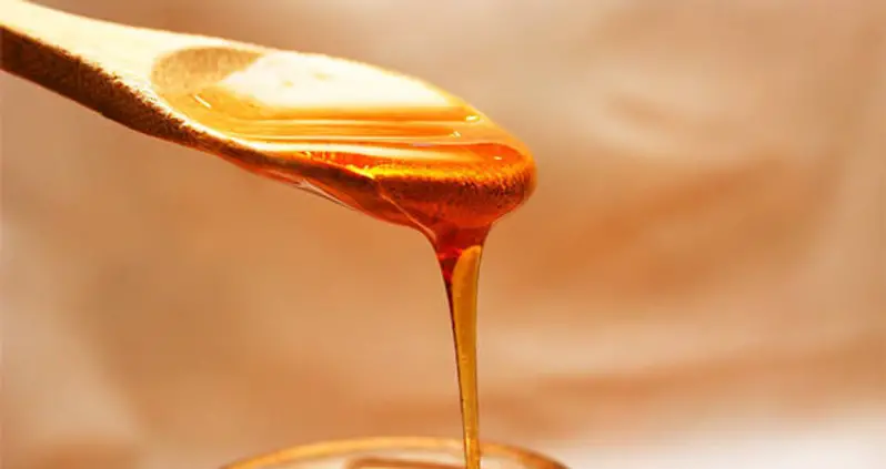 Why People In China Used To Eat Mellified Man, Human Corpses Dipped In Honey