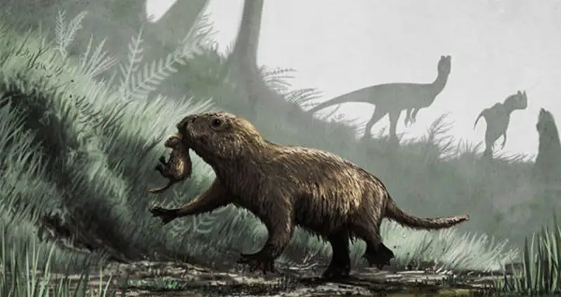 How The Death Of The Dinosaurs Is Why We Sleep At Night