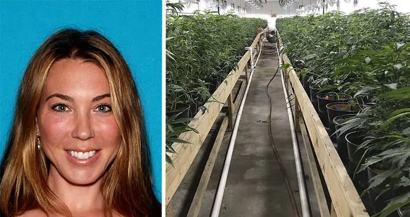 “It Was The Biggest Grow I’ve Ever Seen” – Suburban Mom Busted For Running Multimillion Dollar Weed Operation