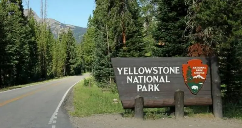 The Perfect Crime May Be Possible But Only In Yellowstone National Park