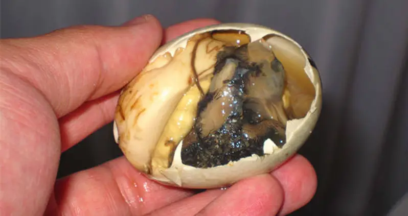 Introducing Balut Eggs – The World’s Weirdest Duck Dish