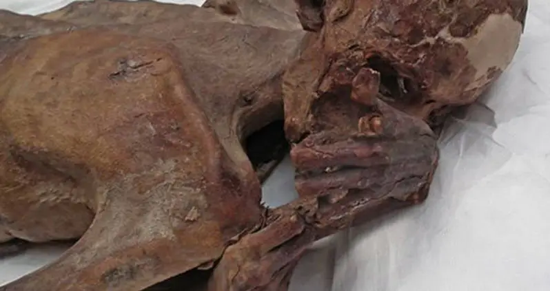 World’s Oldest Known Tattoos Discovered On 5,000 Year Old Mummies [PHOTOS]