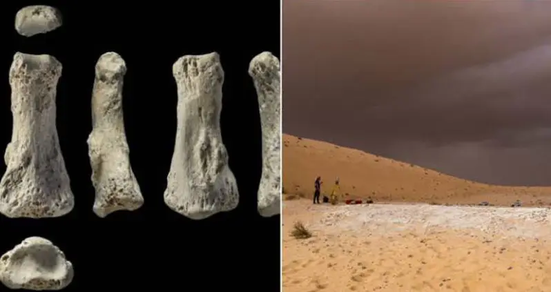 Discovery Of 85,000-Year-Old Finger Bone Drastically Shifts Timeline Of Human Migration