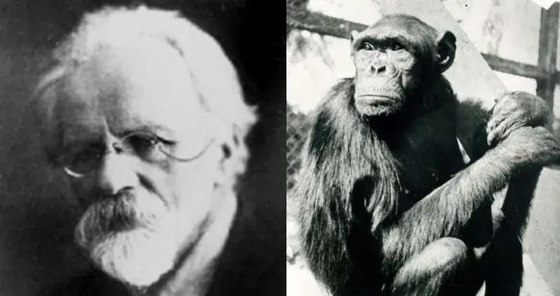 The Disturbing History Of The Quest To Create A Human-Chimp Hybrid Known As A ‘Humanzee’