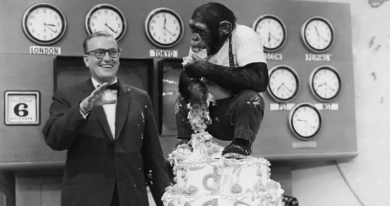 J. Fred Muggs — The Chimpanzee That Saved NBC’s ‘Today’ Show