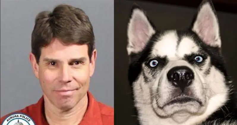 Couple Arrested For Interspecies Love Triangle With Husky In “Sex Chamber”