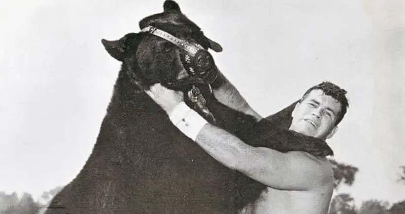 The Story Of Terrible Ted — The Pro Wrestling Bear Who Grappled With The World’s Best