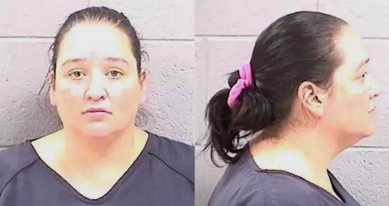 35-Year-Old Woman Drives 13 Hours To Kidnap And Molest 14-Year-Old Boy She Met On Xbox Live