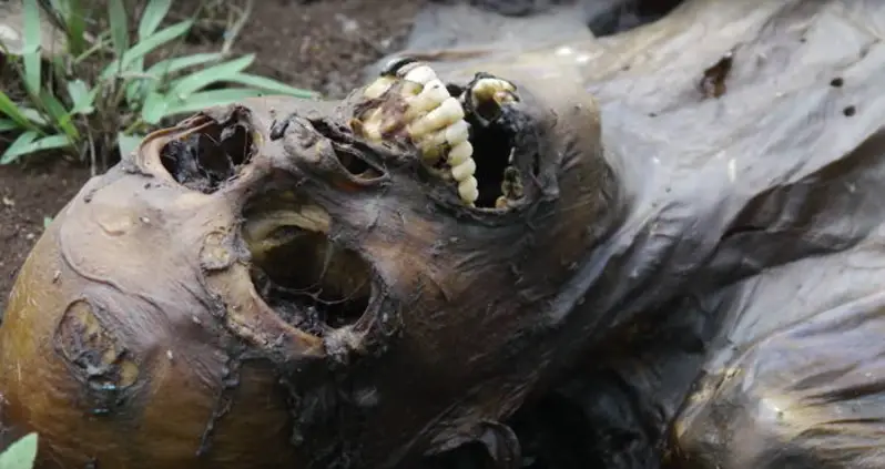 Inside The Body Farms Where Human Corpses Are Left Out To Decay