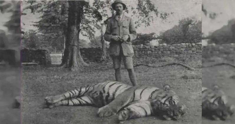 The Champawat Tiger Killed More Than 400 People – Until A Colonel Hunted Her Down