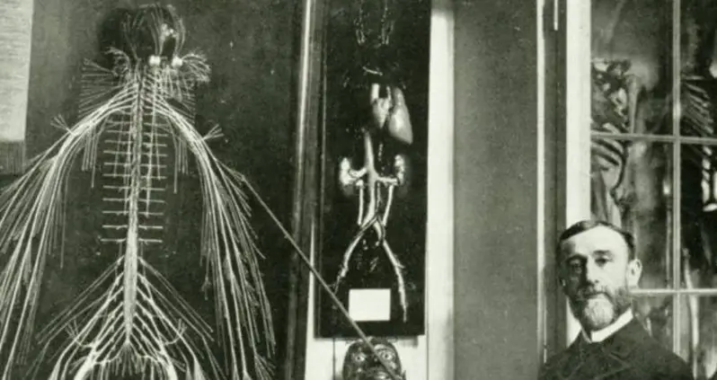 Harriet Cole Donated Her Body To Science — And Had Her Entire Nervous System Removed