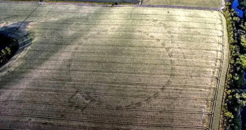 Massive, 4500-Year-Old Irish Henge Revealed By Drought