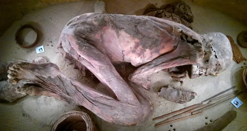 A 5,600-Year-Old Mummy Has Revealed The Oldest Egyptian Embalming Recipe Ever Discovered