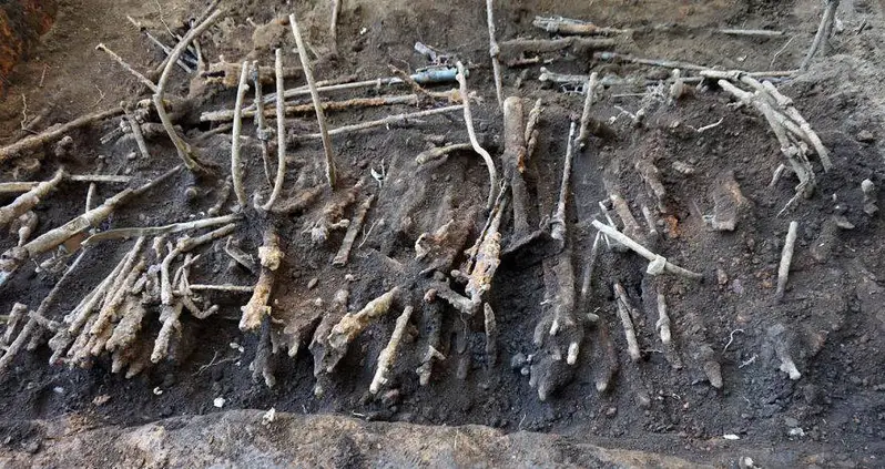 Thousands Of World War II-Era Weapons Found Buried Underneath A School In Tokyo