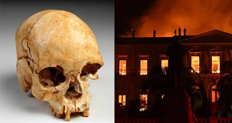 The Americas’ Oldest Human Remains Were Likely Destroyed In A Museum Fire In Brazil